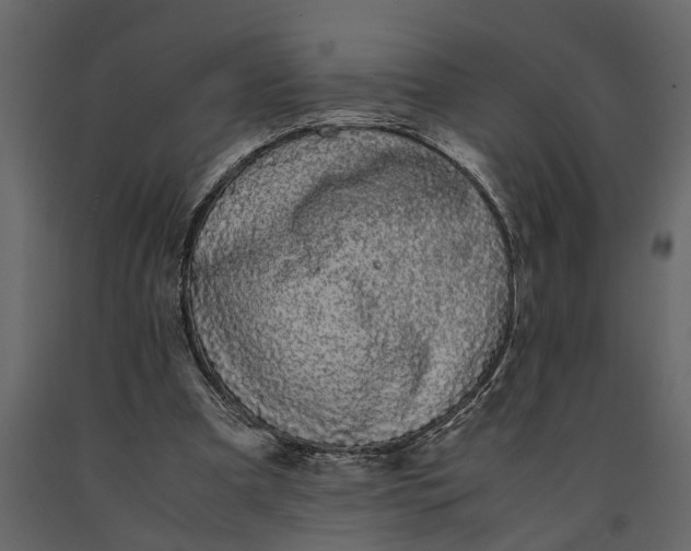 X0000091100297200708271322