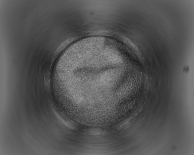 X0000091100298200708271322