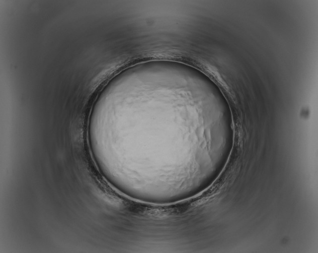 X0000091100299200708271322