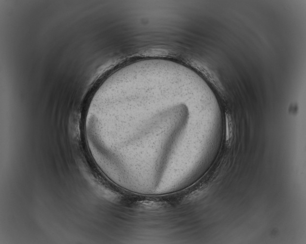 X0000091100300200708271322