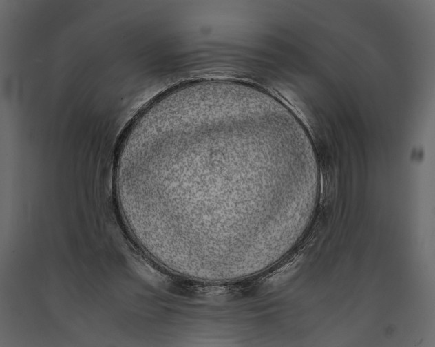 X0000091100301200708271321