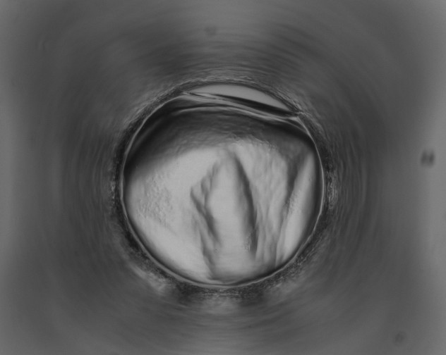 X0000091100303200708271321