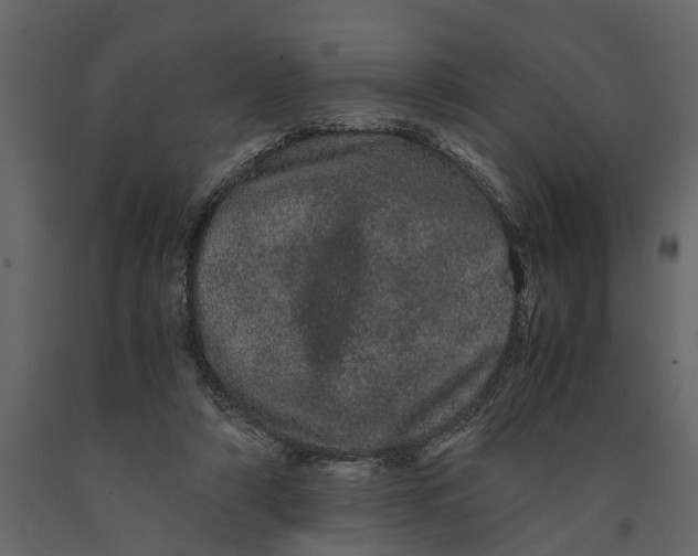 X0000091100306200708271321