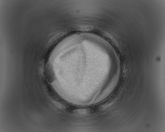 X0000091100307200708271321