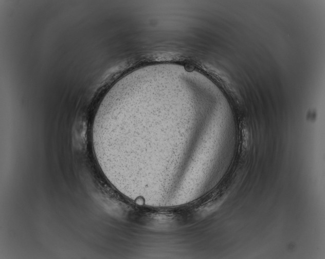 X0000091100308200708271321