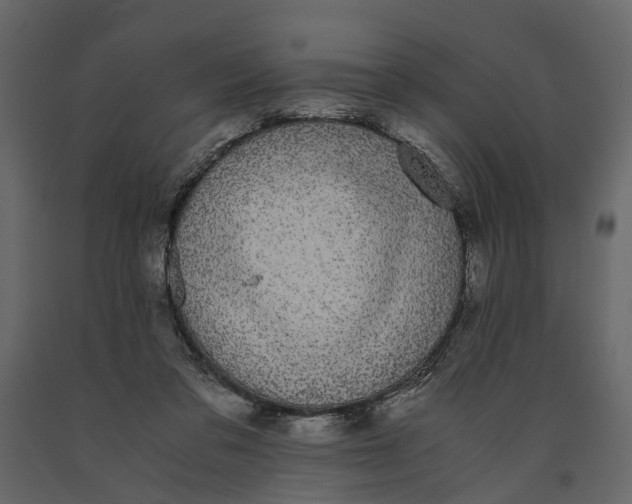 X0000091100309200708271321