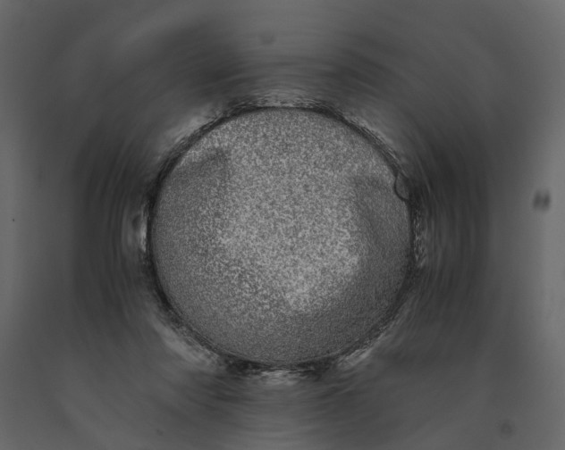 X0000091100310200708271321