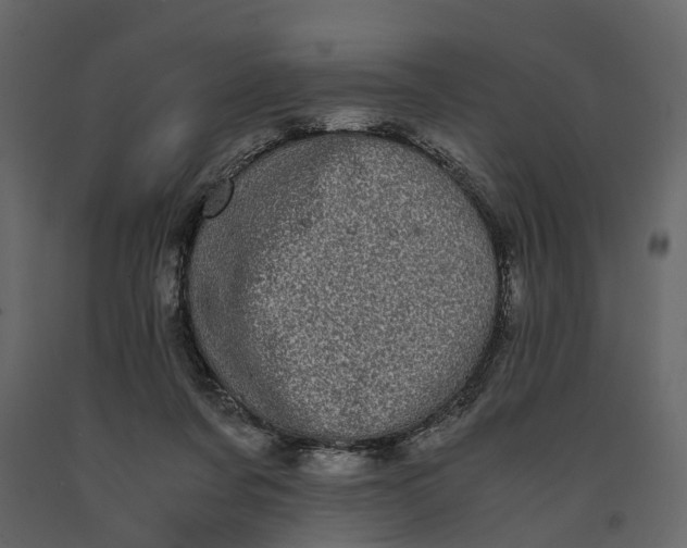 X0000091100311200708271321