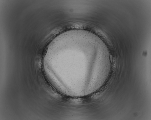 X0000091100313200708271321