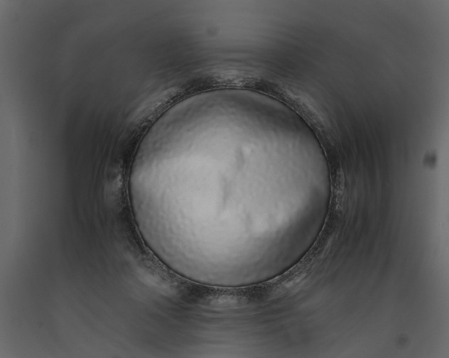 X0000091100314200708271321