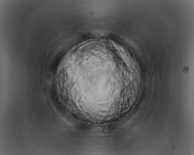 X0000091100315200708271321