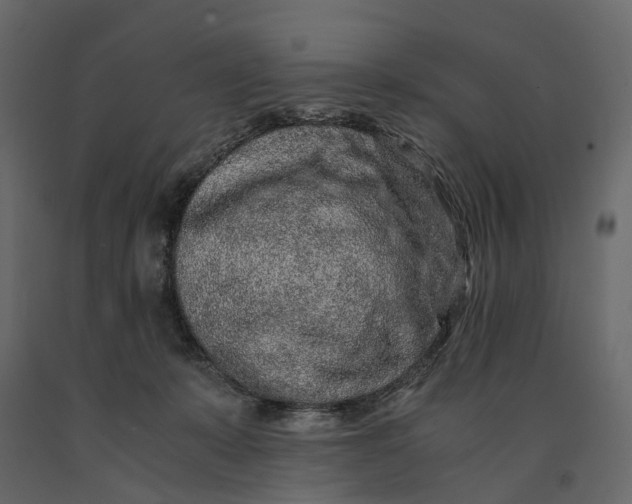 X0000091100319200708271321