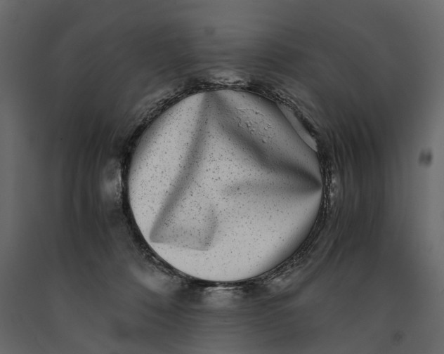 X0000091100320200708271321