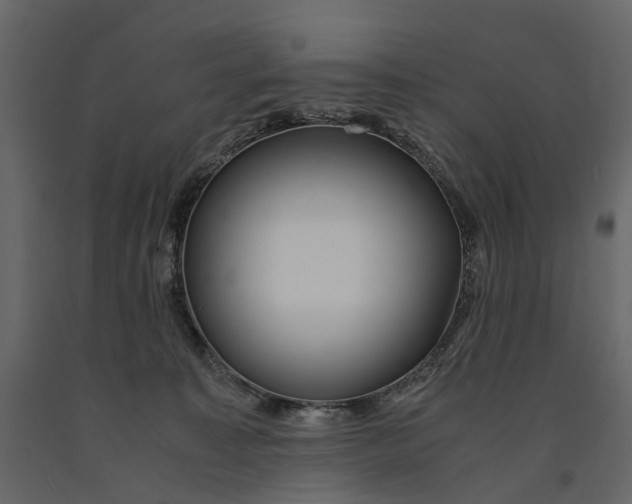 X0000091100323200708271321