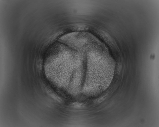 X0000091100326200708271321