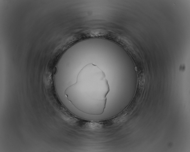 X0000091100327200708271321