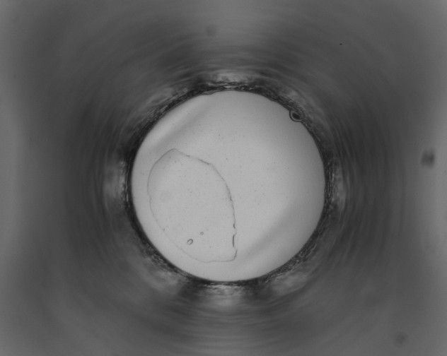 X0000091100328200708271321