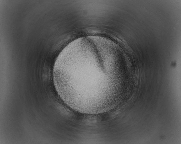 X0000091100330200708271321