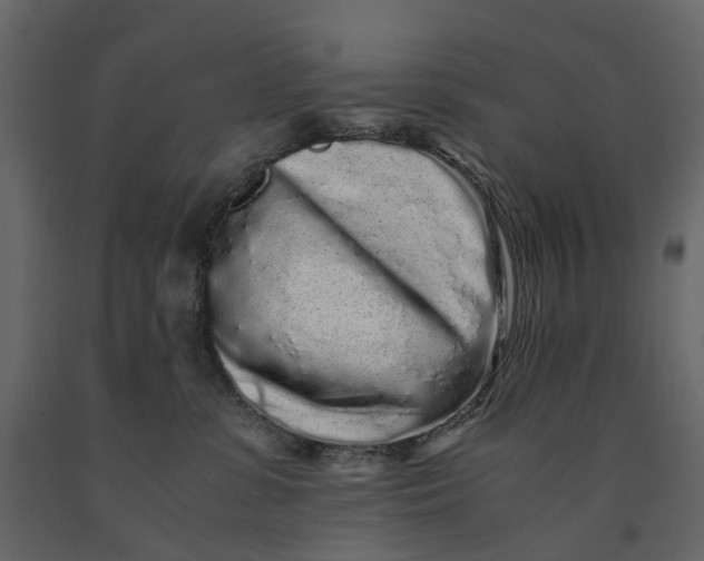 X0000091100331200708271321