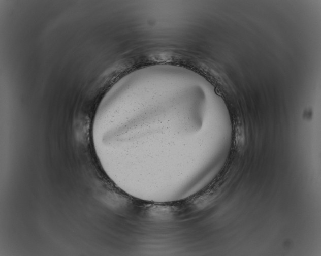 X0000091100332200708271321