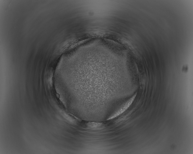 X0000091100334200708271321