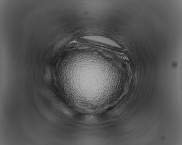 X0000091100335200708271321