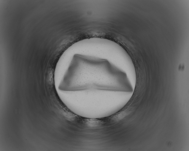 X0000091100336200708271321