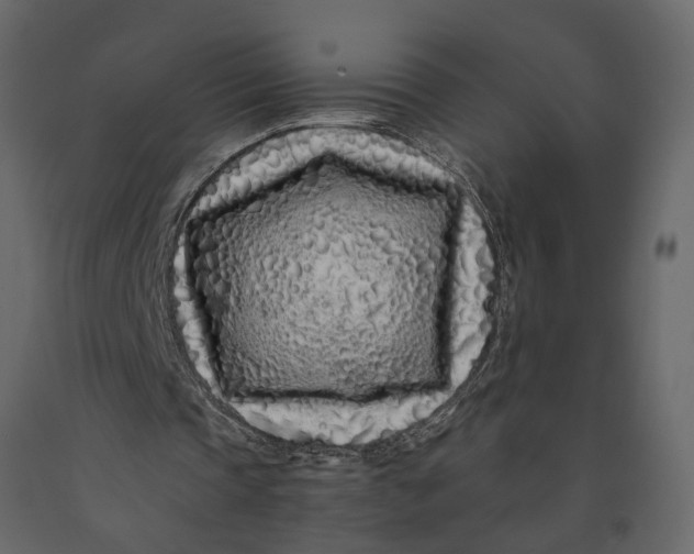 X0000091100337200708271320