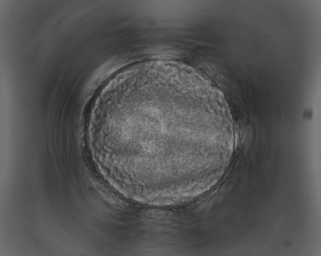 X0000091100339200708271320