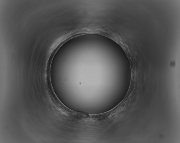 X0000091100340200708271320