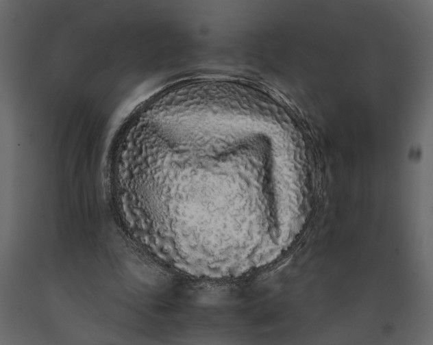 X0000091100343200708271321