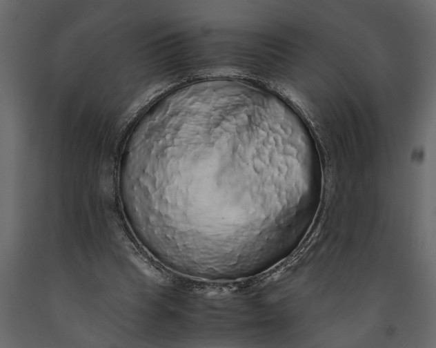 X0000091100345200708271321