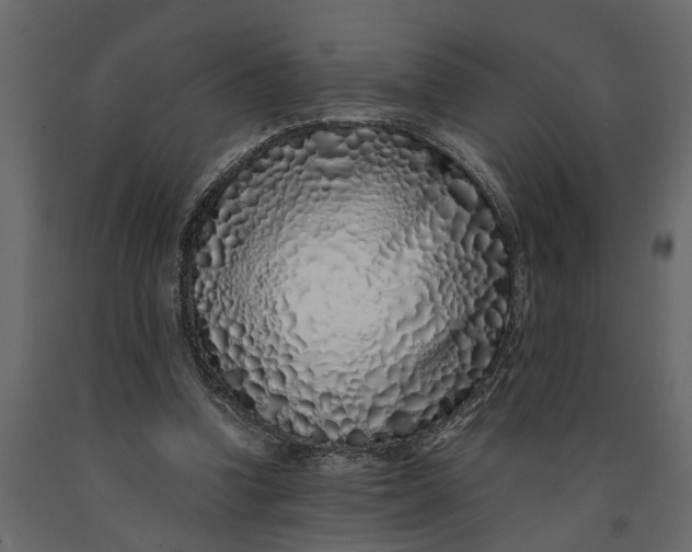 X0000091100346200708271321