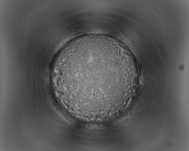 X0000091100347200708271321