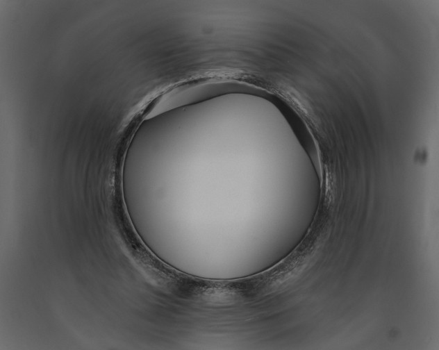 X0000091100348200708271321