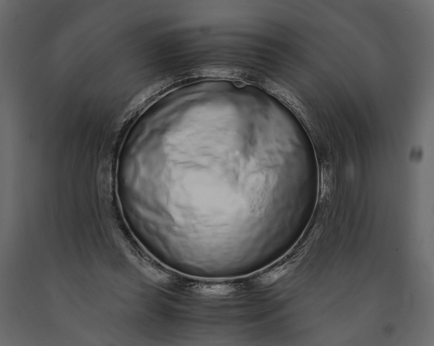 X0000091100349200708271321