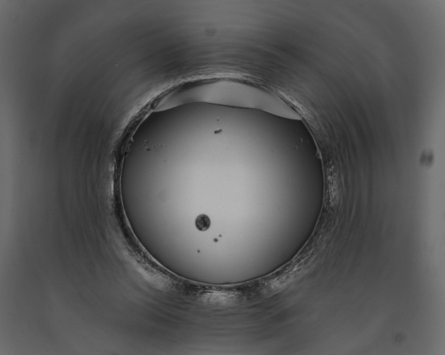 X0000091100350200708271321