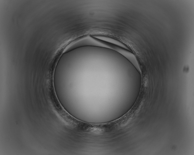 X0000091100352200708271321