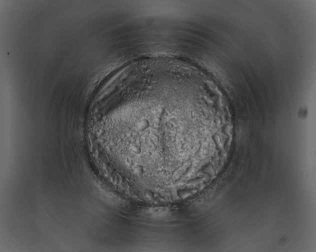 X0000091100353200708271321