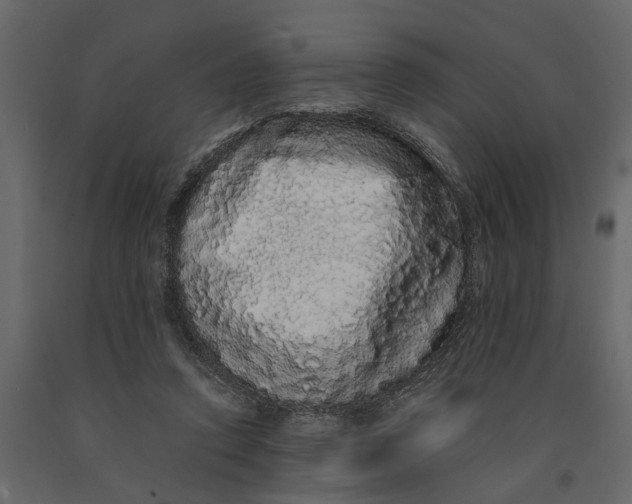 X0000091100354200708271321