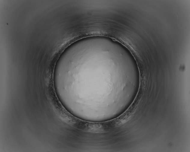 X0000091100355200708271321