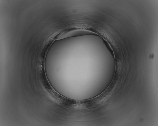 X0000091100356200708271321