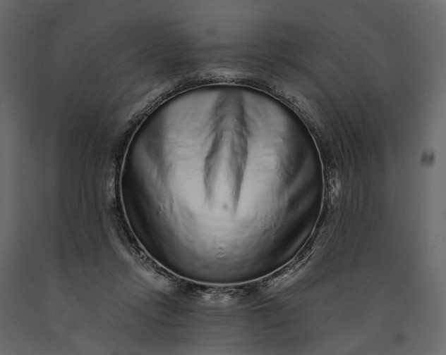 X0000091100358200708271321