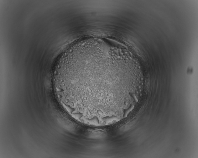 X0000091100359200708271321