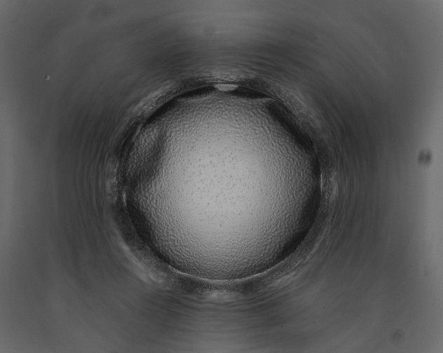 X0000091100360200708271321