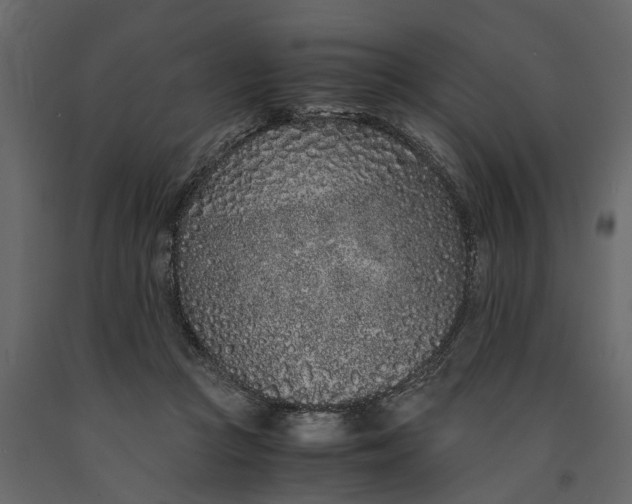 X0000091100361200708271321