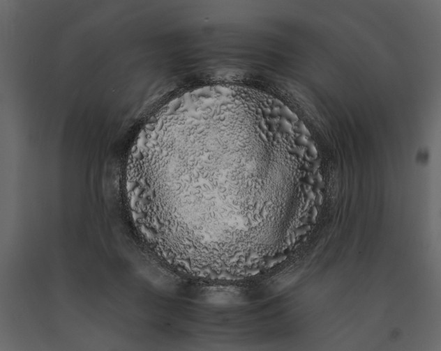 X0000091100363200708271321