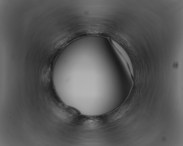 X0000091100364200708271321