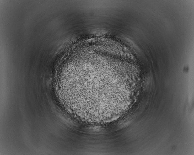 X0000091100365200708271321