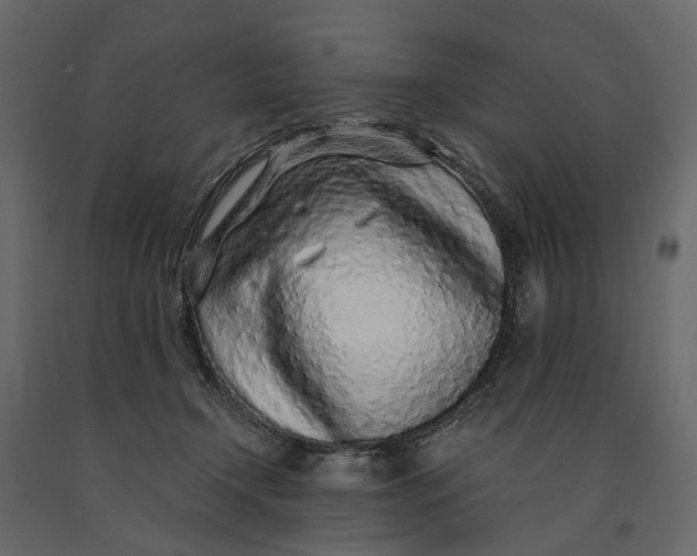 X0000091100366200708271321